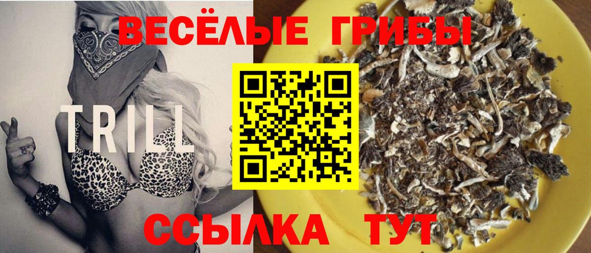 Галлюциногенные грибы мицелий  Псилоцибиновые грибы мухоморы  Вход с VPN  Нефтеюганск 